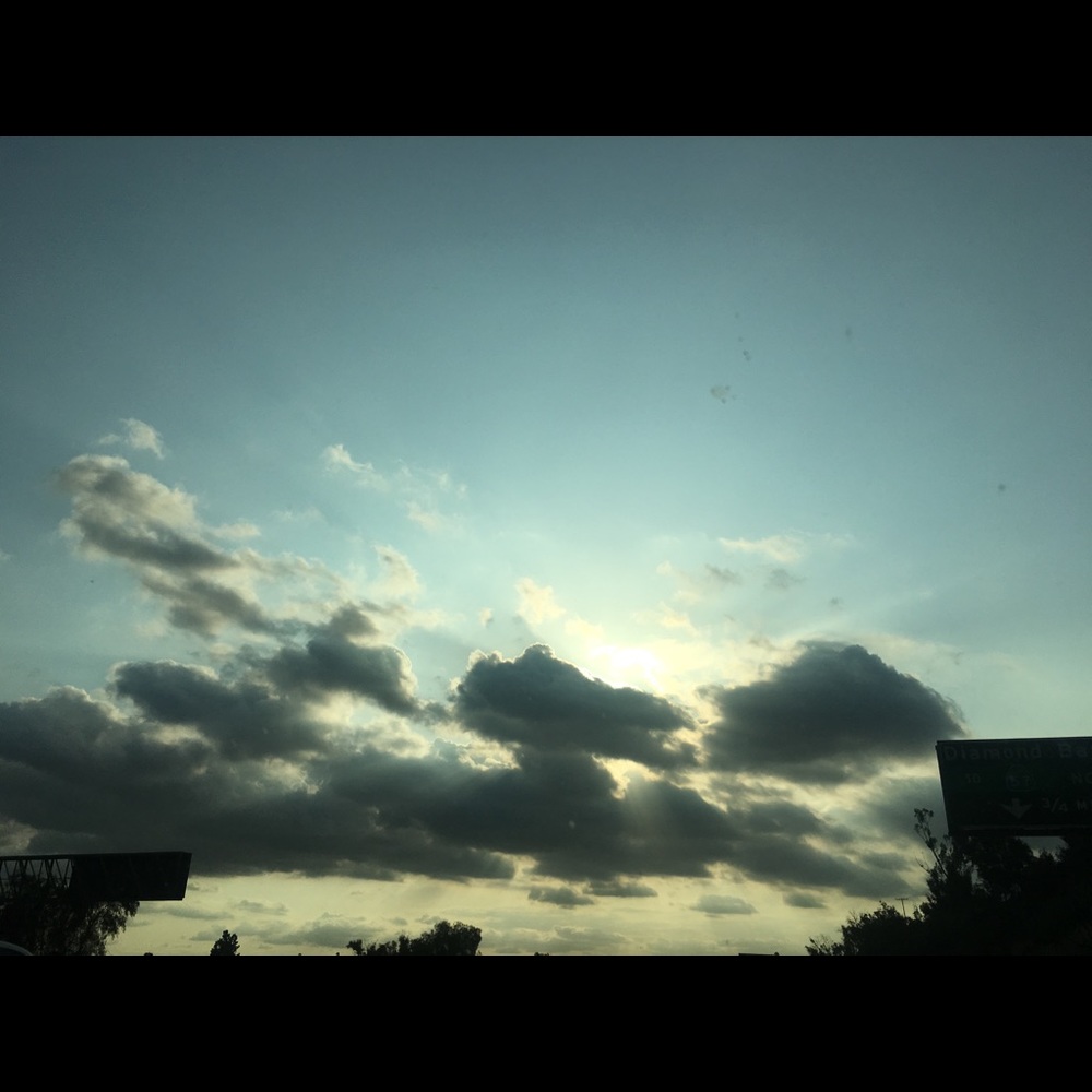 Meet your Posher, Bailey